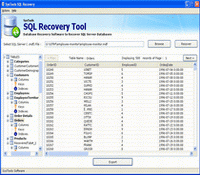SQL database recovery software to repair damaged MDF file and recover SQL database items