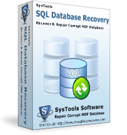 Repair Database of SQL Server